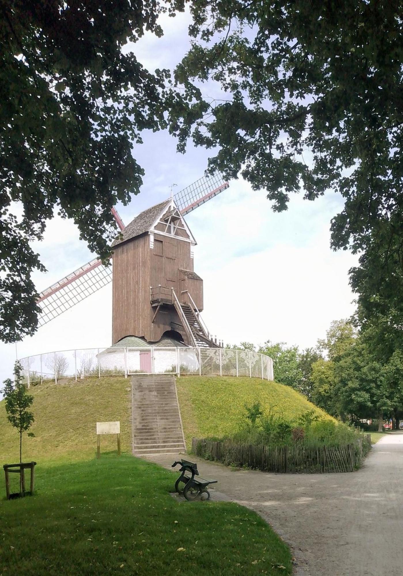 With Carparking, Bicycles And Small Breakfast